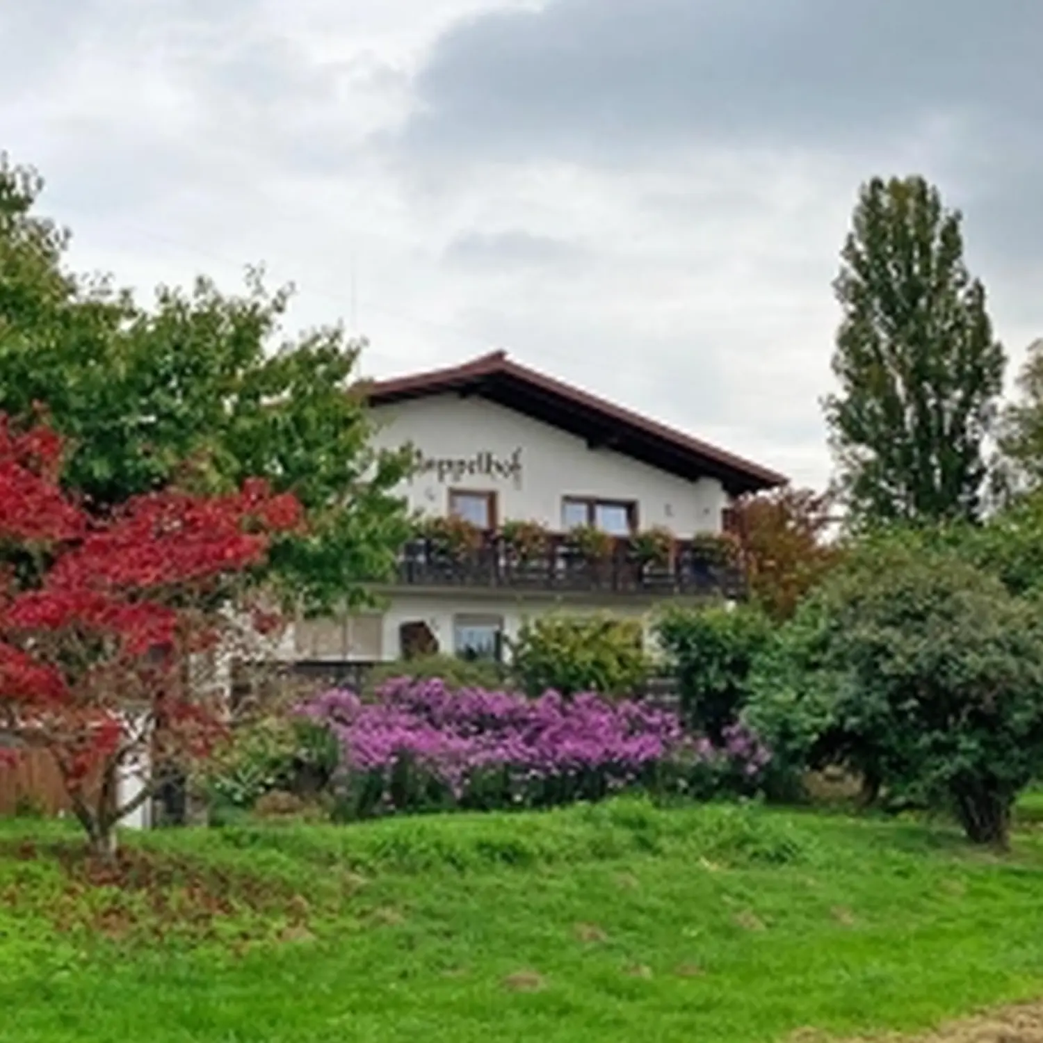 Ferienwohnungen Pappelhof