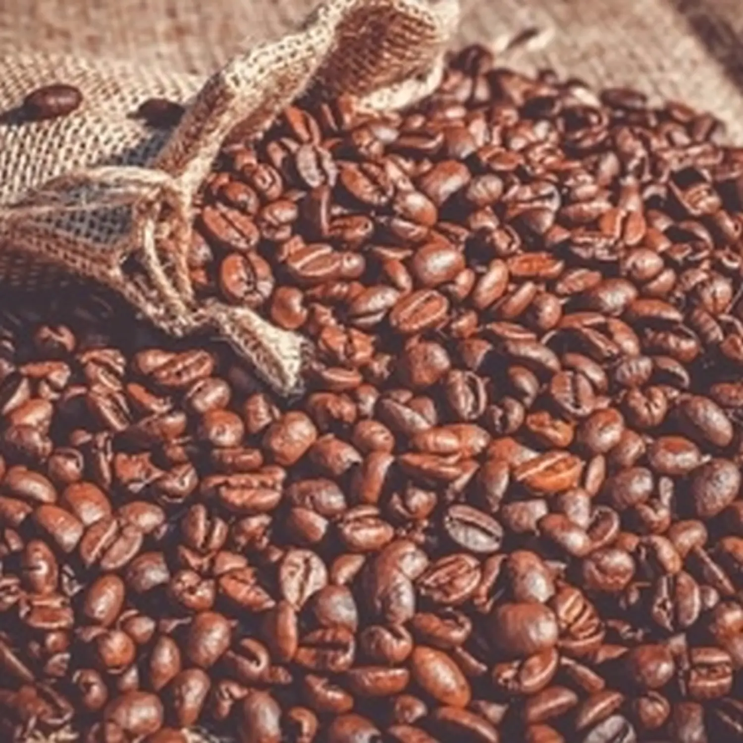 Kaffeebohnen