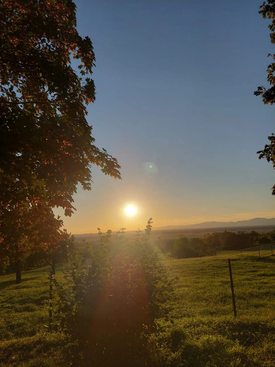 Untergehende Sonne an Land