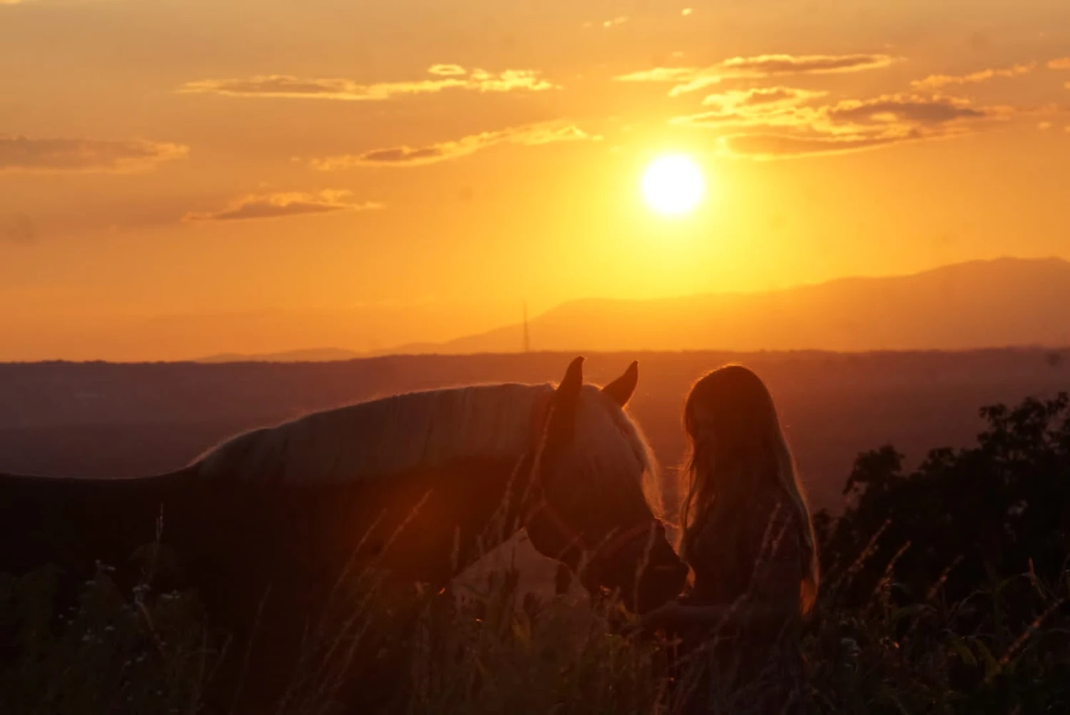 Ein Mädchen und ein Pferd an Land und die untergehende Sonne im Hintergrund