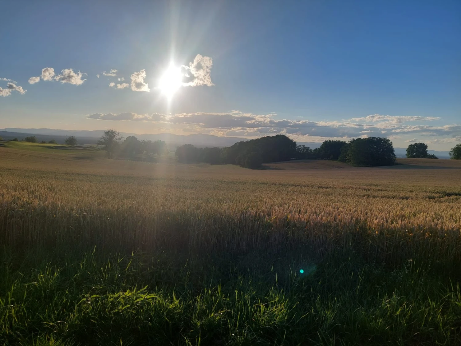 Ferienwohnungen Pappelhof, Sonne scheint auf dem Bauernhof