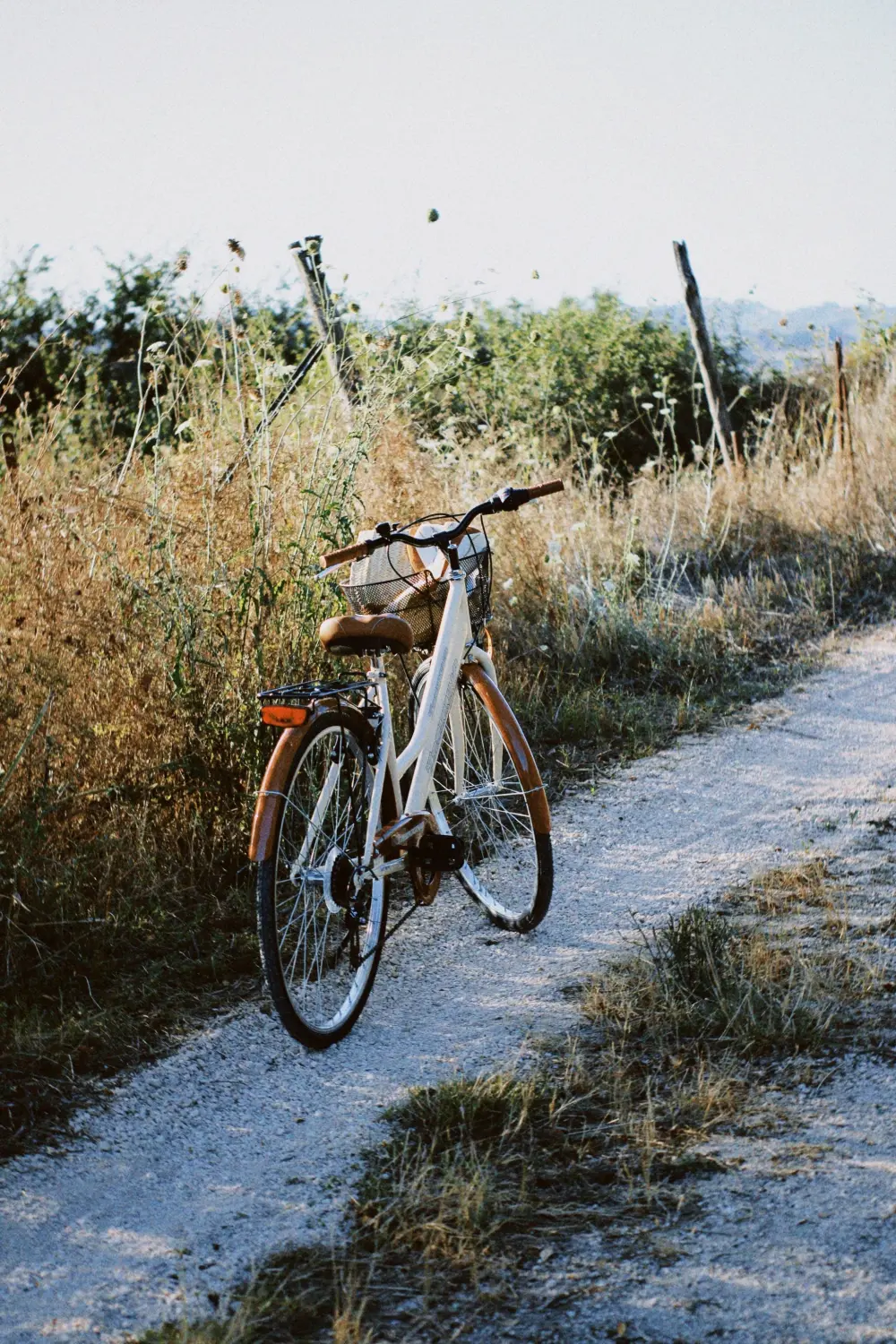 Ferienwohnungen Pappelhof, Fahrrad auf Fußweg